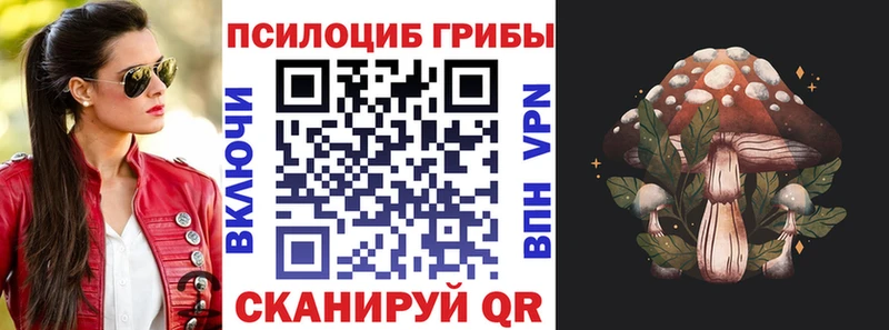 OMG сайт  наркошоп  Алексин  Псилоцибиновые грибы прущие грибы 